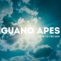 guano_apes_close_to_the_sun_190514.jpg