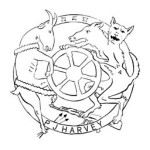 PJ Harvey - The Wheel