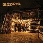 Blossoms - Deep Grass