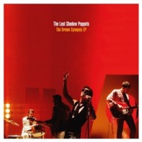 The Last Shadow Puppets - Les Cactus